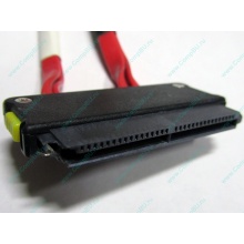SATA-кабель для корзины HDD HP 451782-001 459190-001 для HP ML310 G5 (Чита)