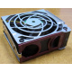 HP 224977 (224978-001) for Proliant ML370 G2/G3/G4 (Чита).