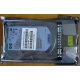 HDD 146.8Gb HP 360205-022 404708-001 404670-002 (Чита)