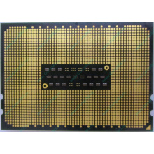 AMD Opteron 6128 OS6128WKT8EGO (Чита)